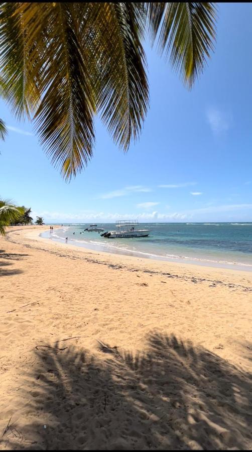 Lovely Beachfront 2 Bedrooms Condo With 2 Pools Las Terrenas Εξωτερικό φωτογραφία